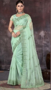 Elegant Pista Green Embroidered Organza Net Saree with Stone Work – Party & Wedding Wear (Copy) (Copy)