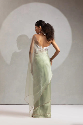 India Silk Elegant Mint Green Chiffon Saree with Silver and Gold Embellishments