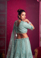 Sky Blue Zarkan with Premium Net Lehenga Choli with Dupatta