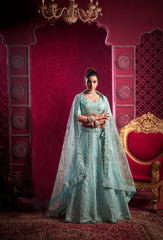 Sky Blue Zarkan with Premium Net Lehenga Choli with Dupatta